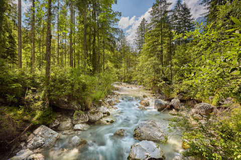 Gemeinde Ramsau Landkreis Berchtesgadener_Land Zauberwald am Hintersee (Dirschl Johann) Deutschland BGL